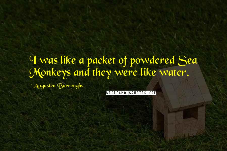 Augusten Burroughs Quotes: I was like a packet of powdered Sea Monkeys and they were like water.