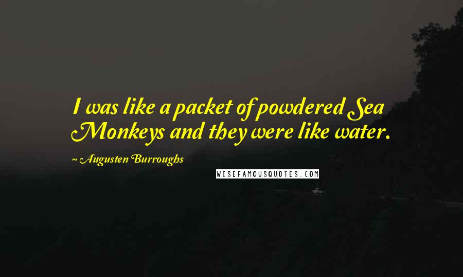 Augusten Burroughs Quotes: I was like a packet of powdered Sea Monkeys and they were like water.