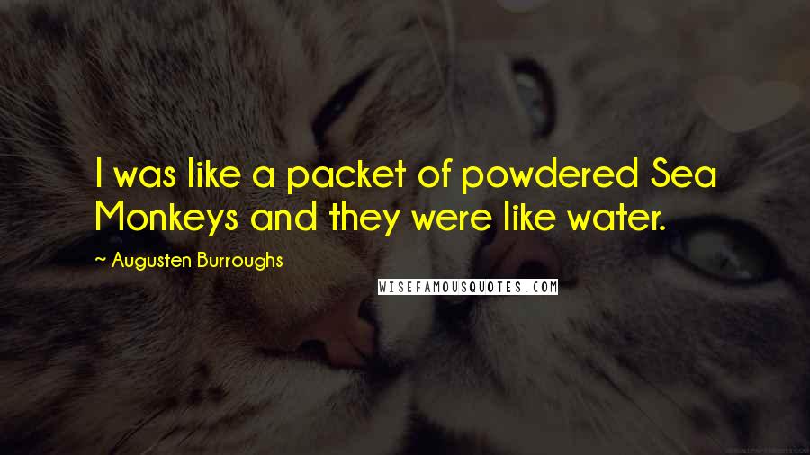 Augusten Burroughs Quotes: I was like a packet of powdered Sea Monkeys and they were like water.