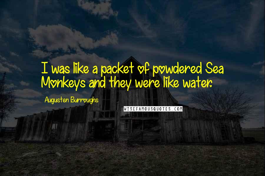 Augusten Burroughs Quotes: I was like a packet of powdered Sea Monkeys and they were like water.