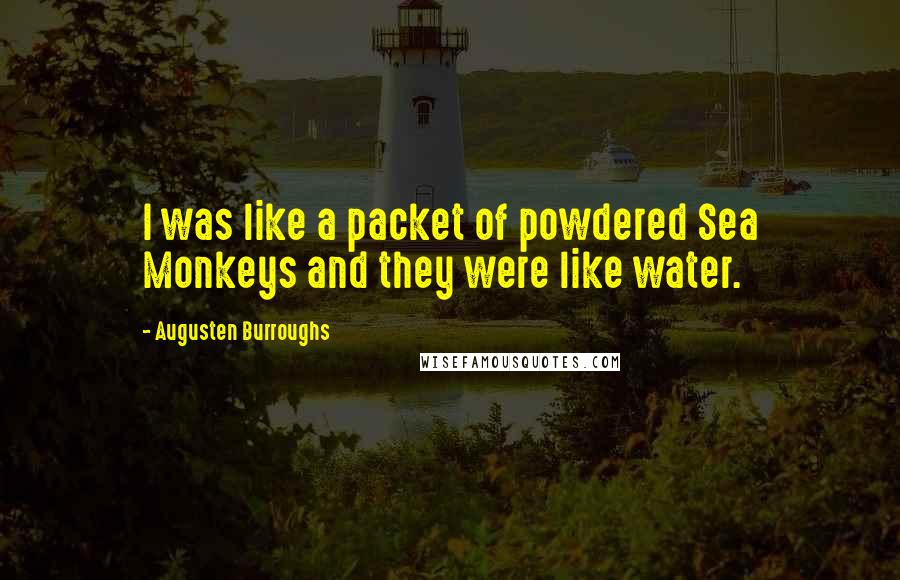 Augusten Burroughs Quotes: I was like a packet of powdered Sea Monkeys and they were like water.