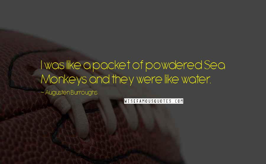 Augusten Burroughs Quotes: I was like a packet of powdered Sea Monkeys and they were like water.