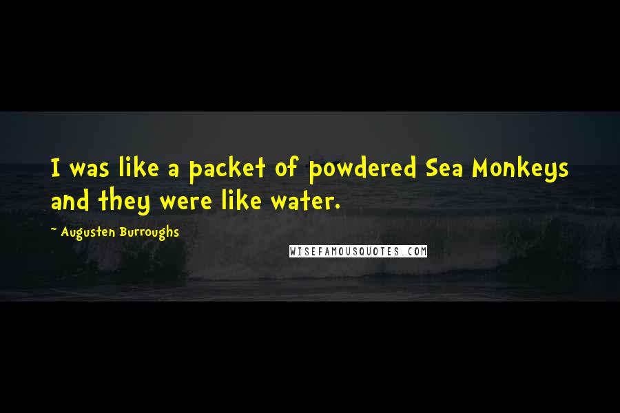 Augusten Burroughs Quotes: I was like a packet of powdered Sea Monkeys and they were like water.