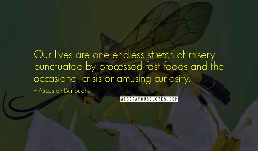 Augusten Burroughs Quotes: Our lives are one endless stretch of misery punctuated by processed fast foods and the occasional crisis or amusing curiosity.