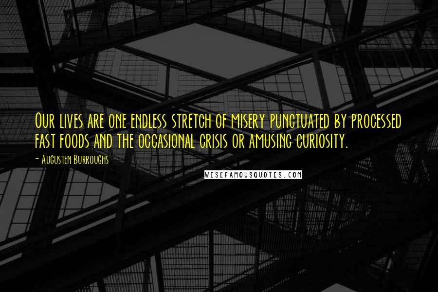 Augusten Burroughs Quotes: Our lives are one endless stretch of misery punctuated by processed fast foods and the occasional crisis or amusing curiosity.