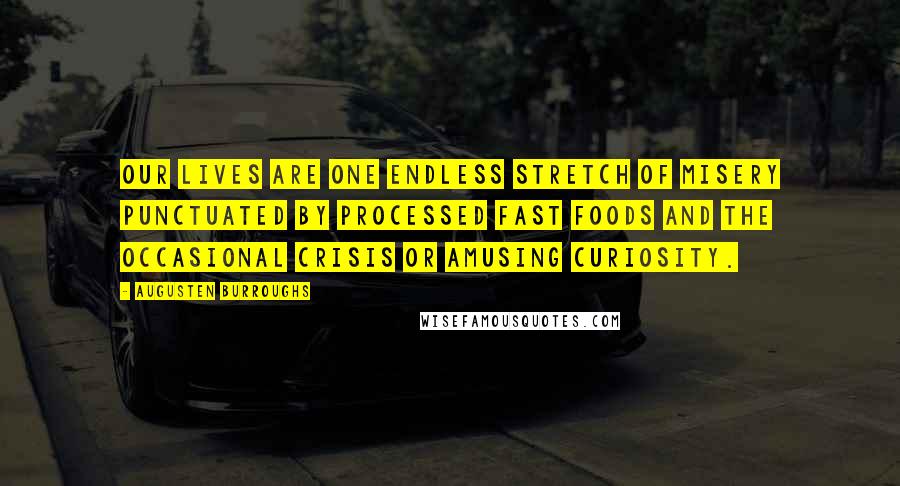 Augusten Burroughs Quotes: Our lives are one endless stretch of misery punctuated by processed fast foods and the occasional crisis or amusing curiosity.