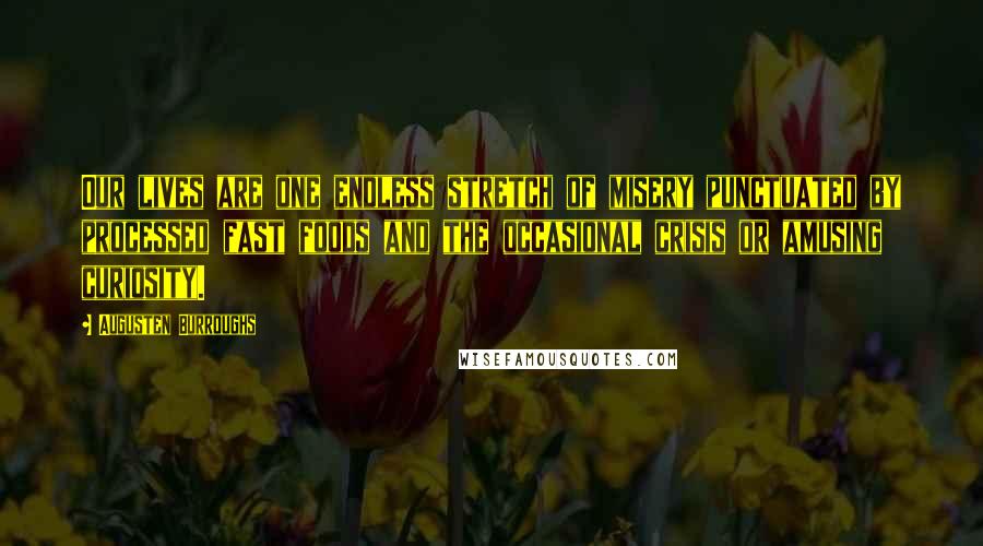 Augusten Burroughs Quotes: Our lives are one endless stretch of misery punctuated by processed fast foods and the occasional crisis or amusing curiosity.