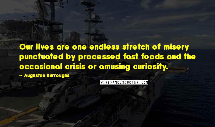 Augusten Burroughs Quotes: Our lives are one endless stretch of misery punctuated by processed fast foods and the occasional crisis or amusing curiosity.