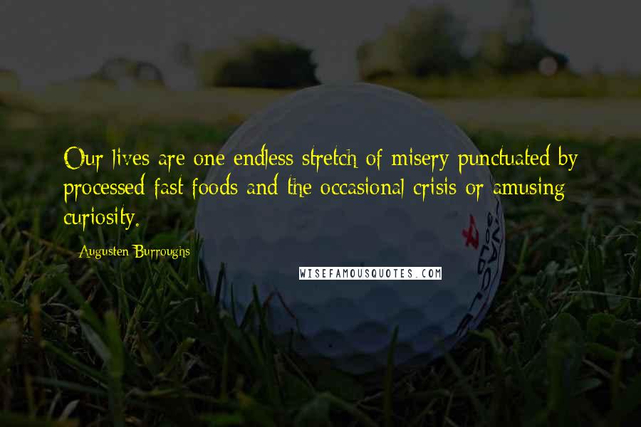 Augusten Burroughs Quotes: Our lives are one endless stretch of misery punctuated by processed fast foods and the occasional crisis or amusing curiosity.