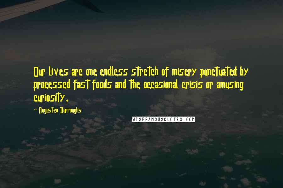 Augusten Burroughs Quotes: Our lives are one endless stretch of misery punctuated by processed fast foods and the occasional crisis or amusing curiosity.