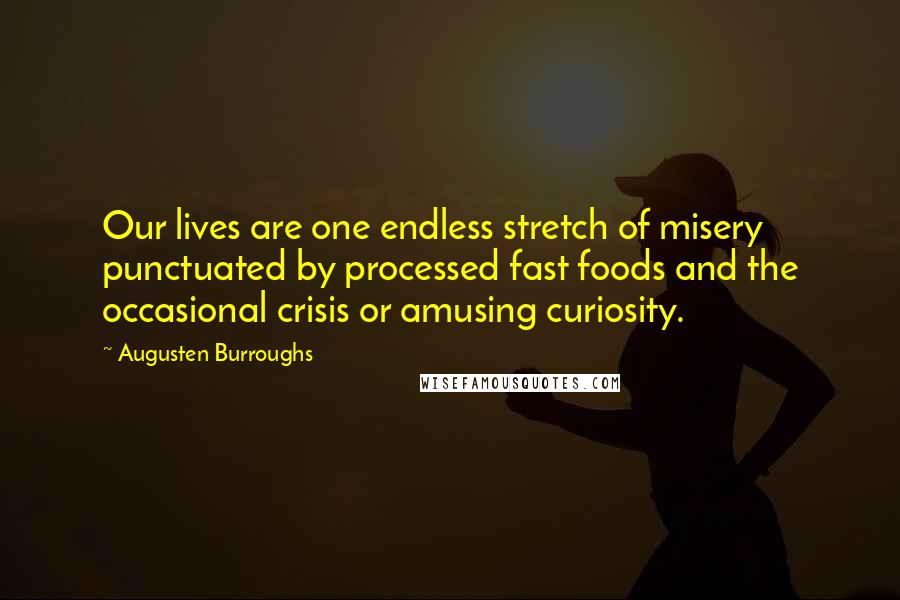 Augusten Burroughs Quotes: Our lives are one endless stretch of misery punctuated by processed fast foods and the occasional crisis or amusing curiosity.