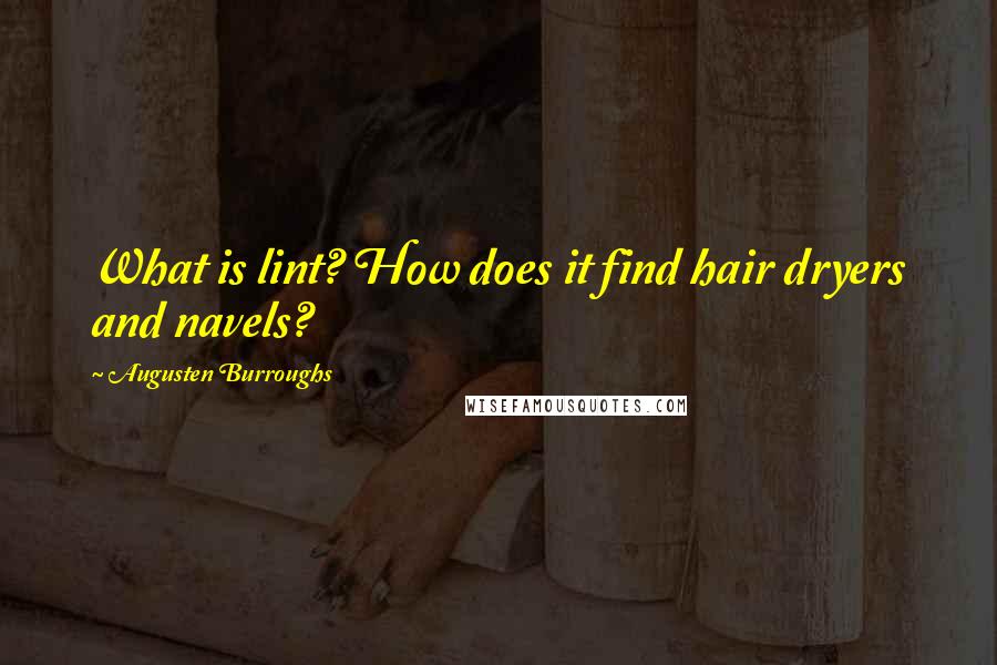 Augusten Burroughs Quotes: What is lint? How does it find hair dryers and navels?