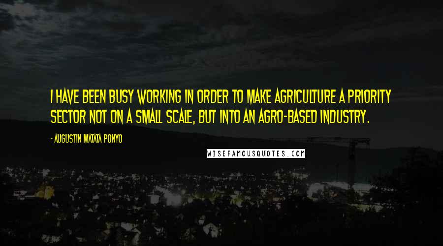 Augustin Matata Ponyo Quotes: I have been busy working in order to make agriculture a priority sector not on a small scale, but into an agro-based industry.