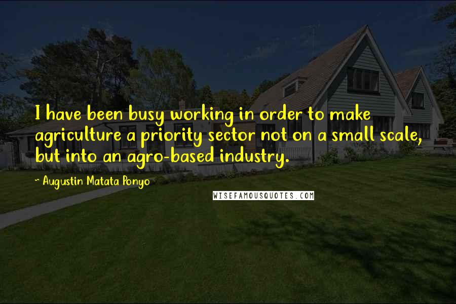 Augustin Matata Ponyo Quotes: I have been busy working in order to make agriculture a priority sector not on a small scale, but into an agro-based industry.