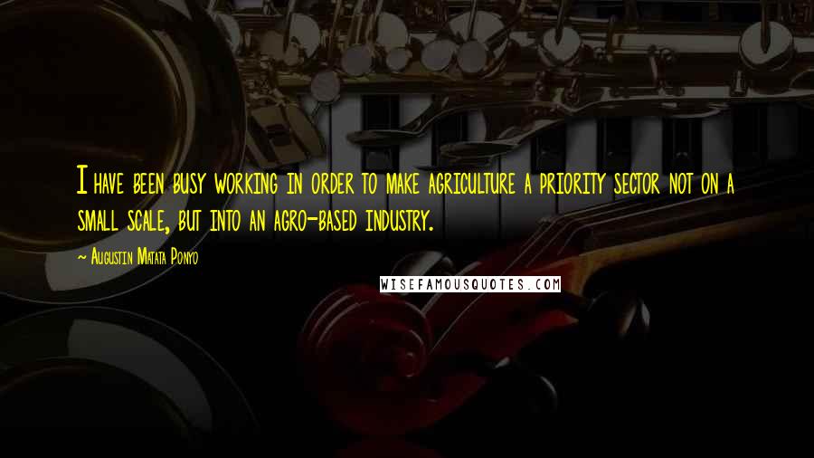 Augustin Matata Ponyo Quotes: I have been busy working in order to make agriculture a priority sector not on a small scale, but into an agro-based industry.