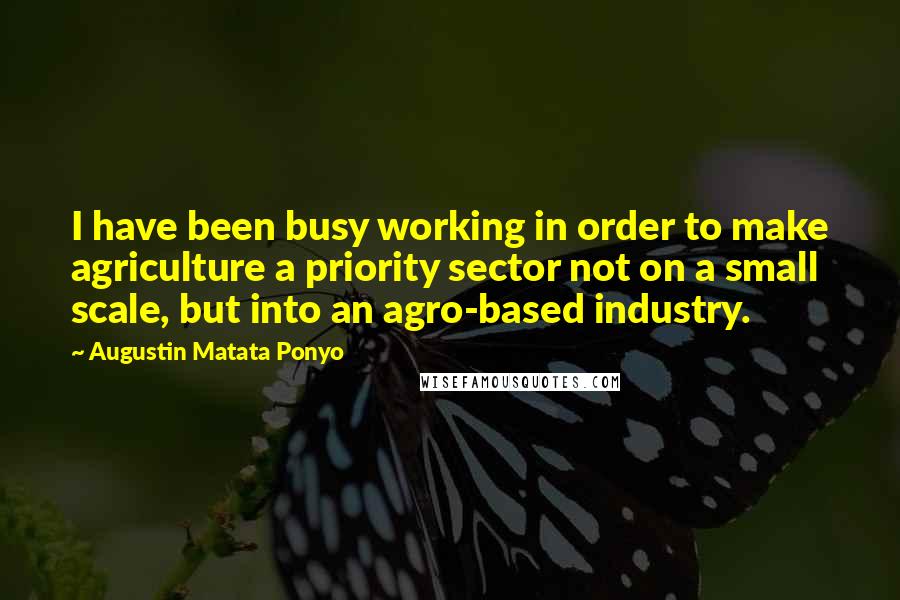 Augustin Matata Ponyo Quotes: I have been busy working in order to make agriculture a priority sector not on a small scale, but into an agro-based industry.