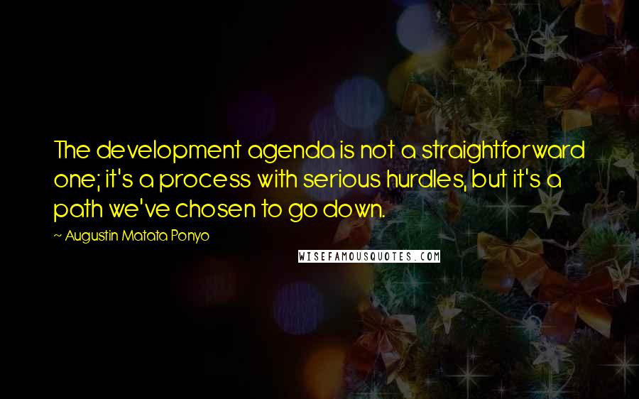 Augustin Matata Ponyo Quotes: The development agenda is not a straightforward one; it's a process with serious hurdles, but it's a path we've chosen to go down.