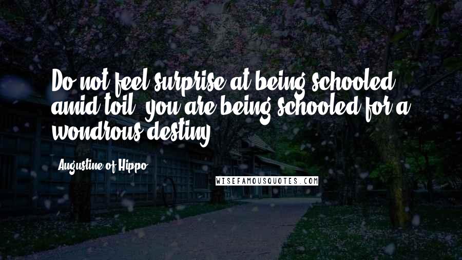 Augustine Of Hippo Quotes: Do not feel surprise at being schooled amid toil: you are being schooled for a wondrous destiny.