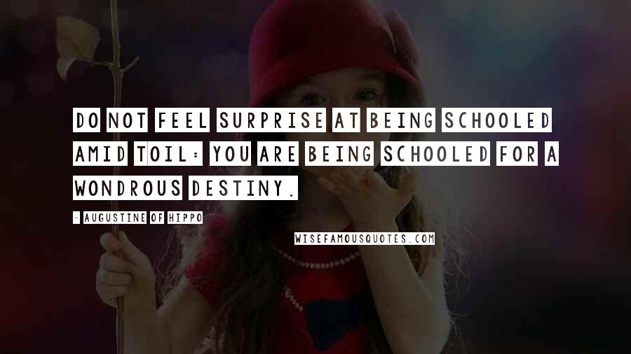 Augustine Of Hippo Quotes: Do not feel surprise at being schooled amid toil: you are being schooled for a wondrous destiny.