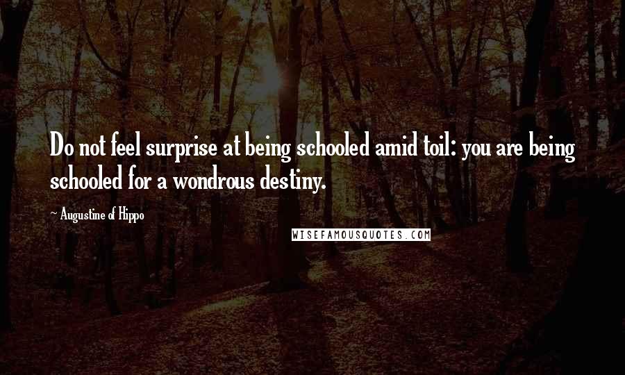 Augustine Of Hippo Quotes: Do not feel surprise at being schooled amid toil: you are being schooled for a wondrous destiny.