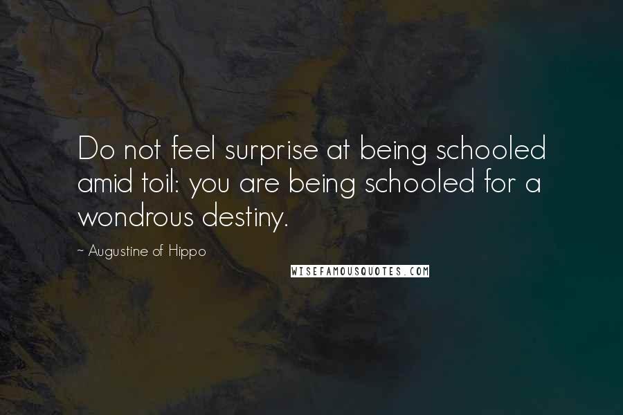 Augustine Of Hippo Quotes: Do not feel surprise at being schooled amid toil: you are being schooled for a wondrous destiny.