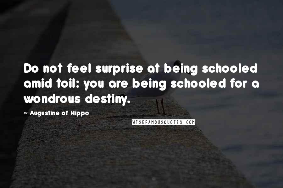 Augustine Of Hippo Quotes: Do not feel surprise at being schooled amid toil: you are being schooled for a wondrous destiny.