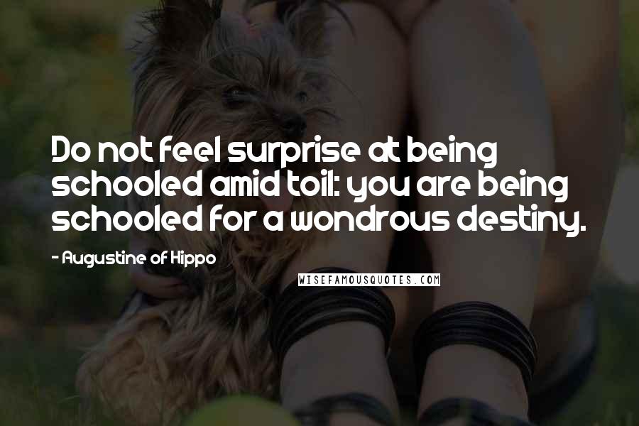 Augustine Of Hippo Quotes: Do not feel surprise at being schooled amid toil: you are being schooled for a wondrous destiny.