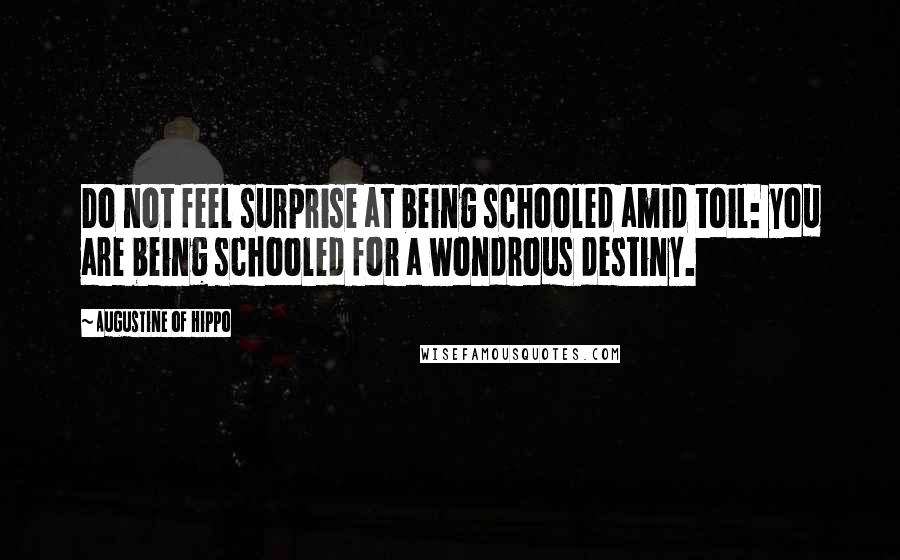 Augustine Of Hippo Quotes: Do not feel surprise at being schooled amid toil: you are being schooled for a wondrous destiny.