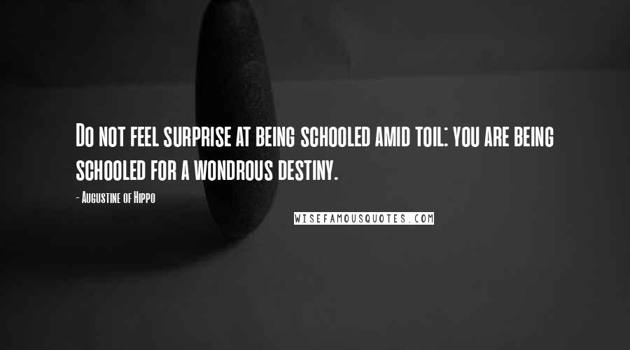 Augustine Of Hippo Quotes: Do not feel surprise at being schooled amid toil: you are being schooled for a wondrous destiny.