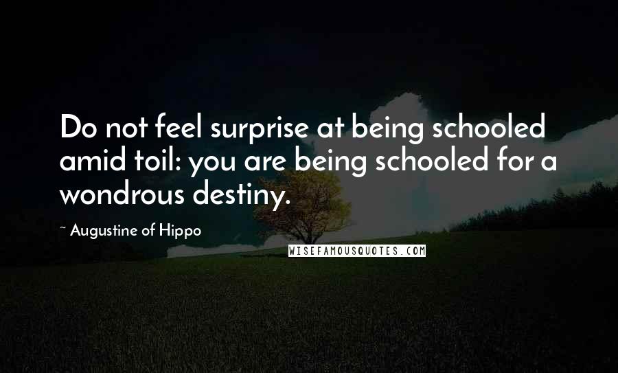 Augustine Of Hippo Quotes: Do not feel surprise at being schooled amid toil: you are being schooled for a wondrous destiny.