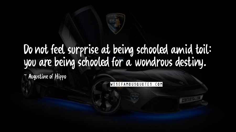 Augustine Of Hippo Quotes: Do not feel surprise at being schooled amid toil: you are being schooled for a wondrous destiny.