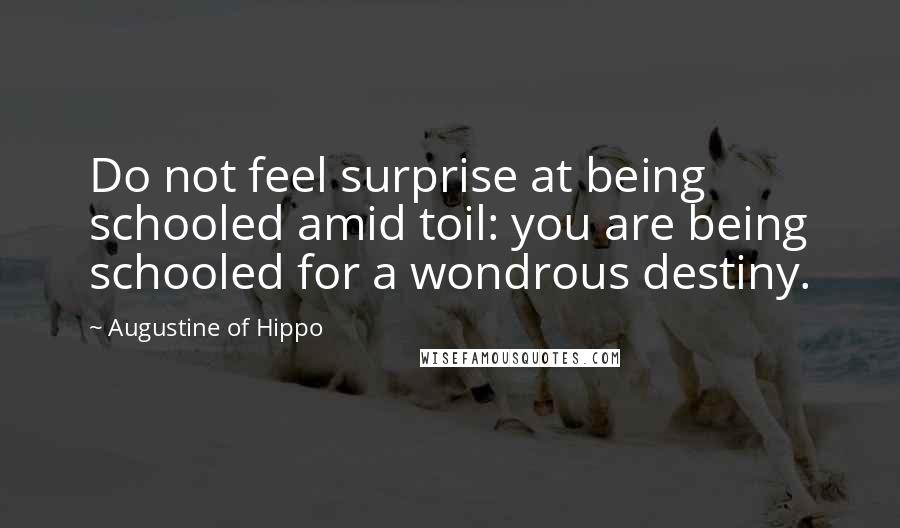 Augustine Of Hippo Quotes: Do not feel surprise at being schooled amid toil: you are being schooled for a wondrous destiny.