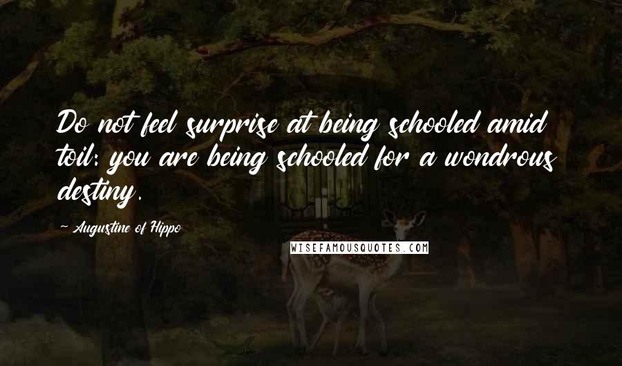 Augustine Of Hippo Quotes: Do not feel surprise at being schooled amid toil: you are being schooled for a wondrous destiny.