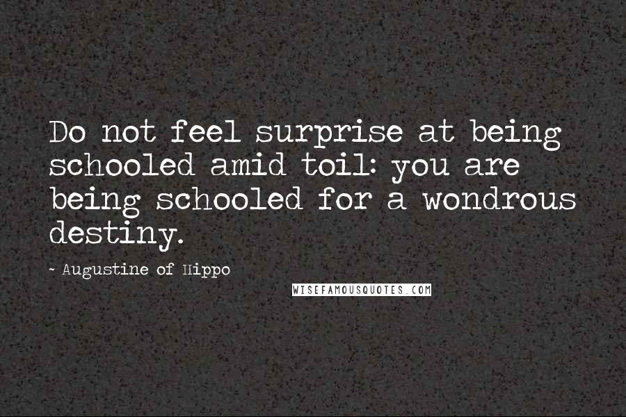 Augustine Of Hippo Quotes: Do not feel surprise at being schooled amid toil: you are being schooled for a wondrous destiny.