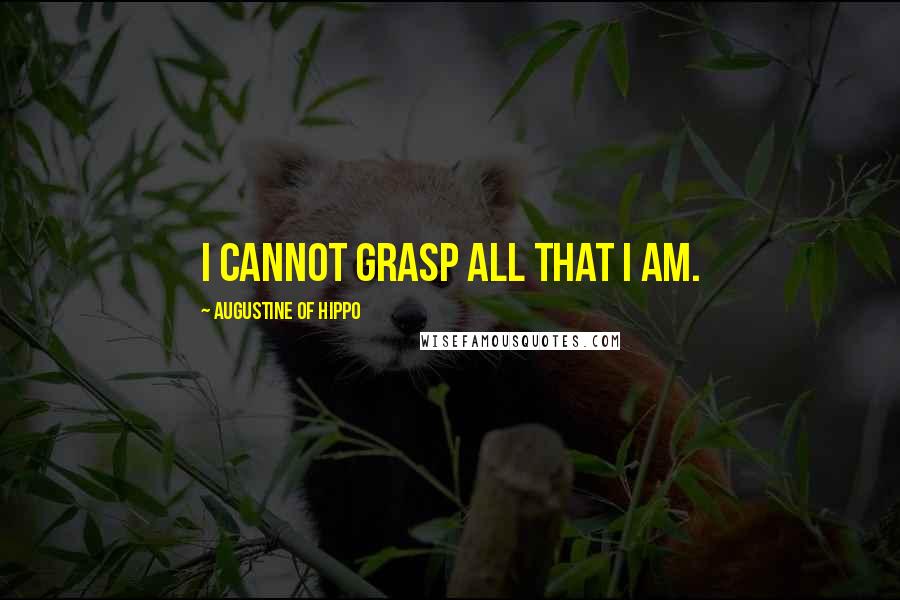 Augustine Of Hippo Quotes: I cannot grasp all that I am.