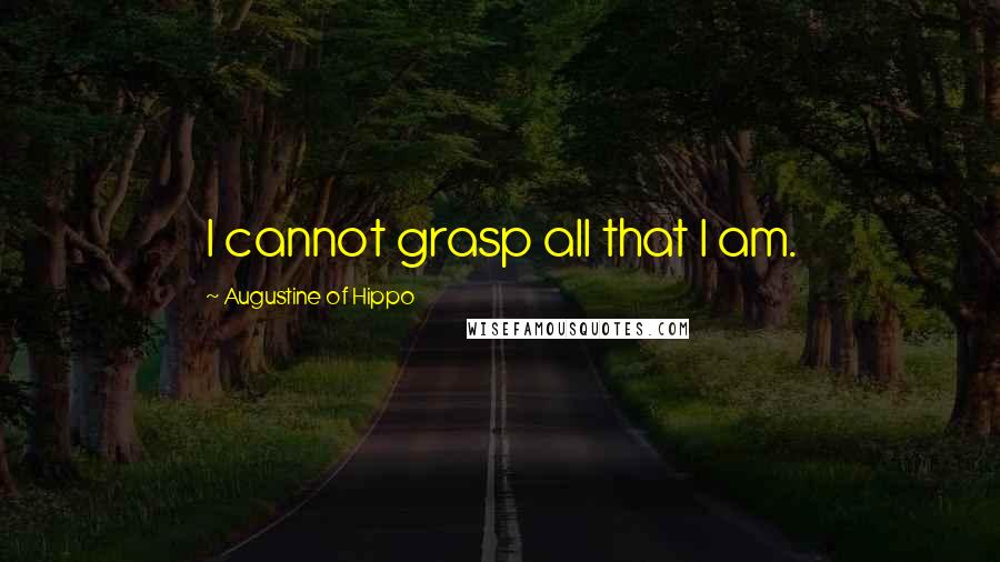 Augustine Of Hippo Quotes: I cannot grasp all that I am.