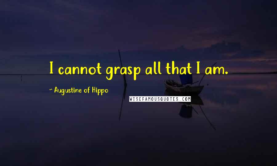 Augustine Of Hippo Quotes: I cannot grasp all that I am.