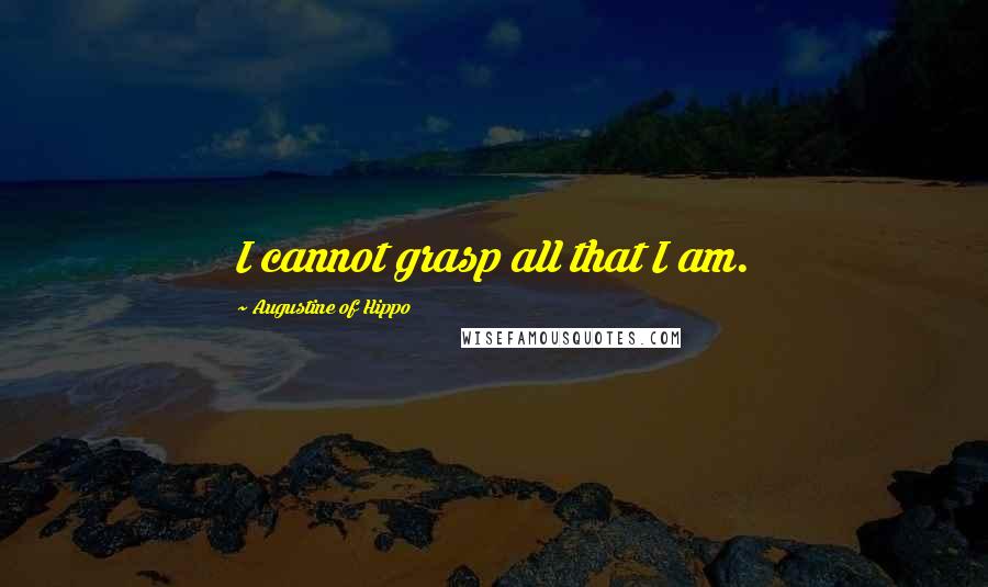 Augustine Of Hippo Quotes: I cannot grasp all that I am.