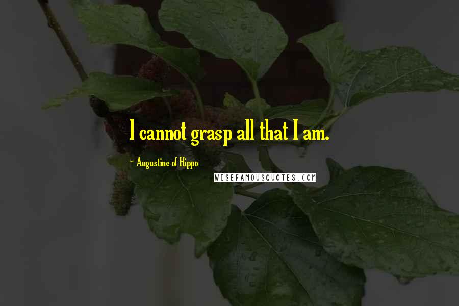 Augustine Of Hippo Quotes: I cannot grasp all that I am.