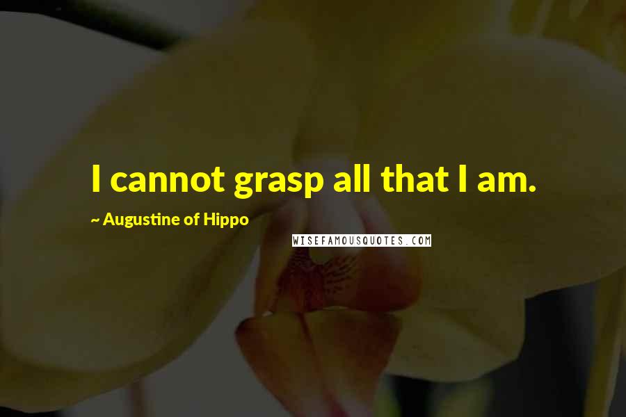 Augustine Of Hippo Quotes: I cannot grasp all that I am.