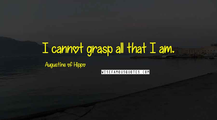 Augustine Of Hippo Quotes: I cannot grasp all that I am.