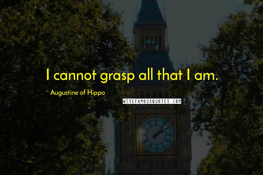 Augustine Of Hippo Quotes: I cannot grasp all that I am.