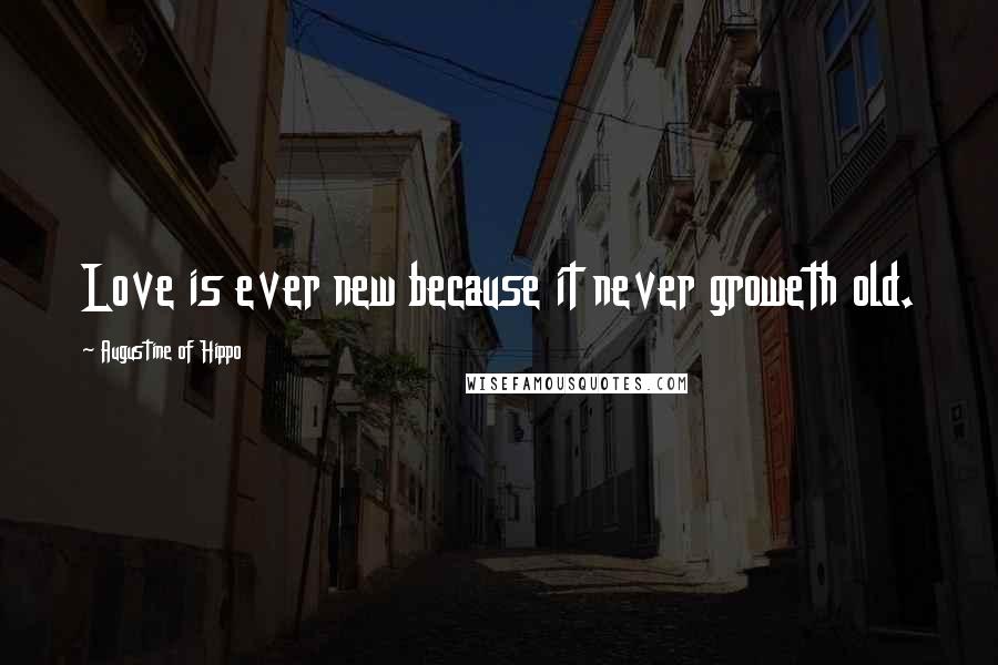 Augustine Of Hippo Quotes: Love is ever new because it never groweth old.