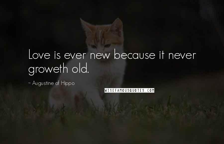 Augustine Of Hippo Quotes: Love is ever new because it never groweth old.