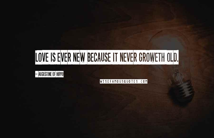 Augustine Of Hippo Quotes: Love is ever new because it never groweth old.