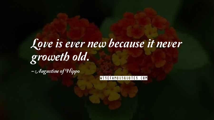 Augustine Of Hippo Quotes: Love is ever new because it never groweth old.