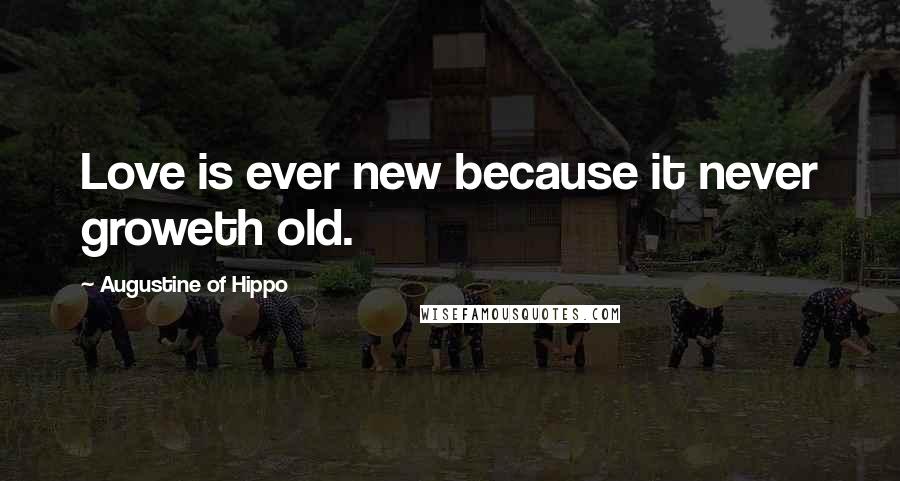 Augustine Of Hippo Quotes: Love is ever new because it never groweth old.