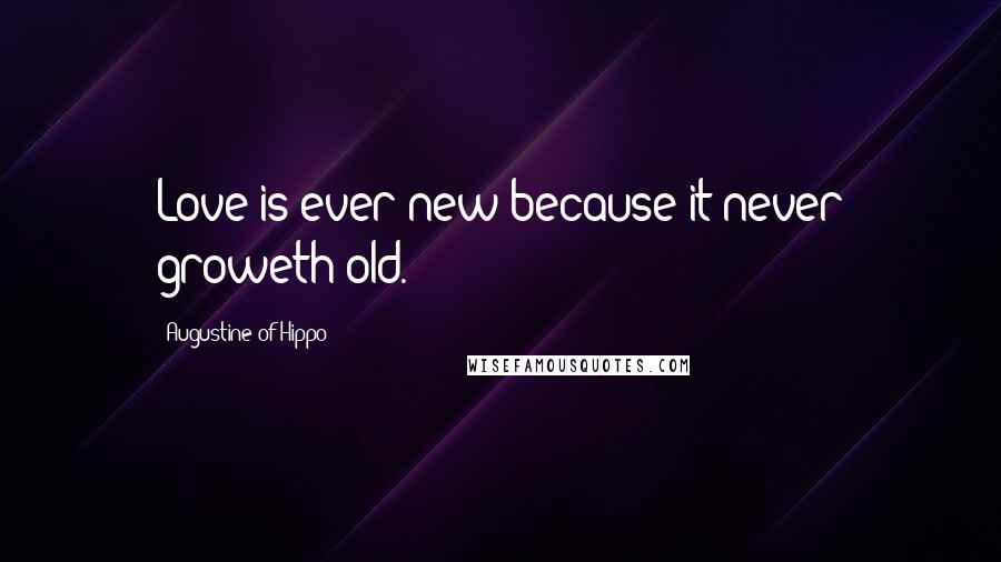 Augustine Of Hippo Quotes: Love is ever new because it never groweth old.