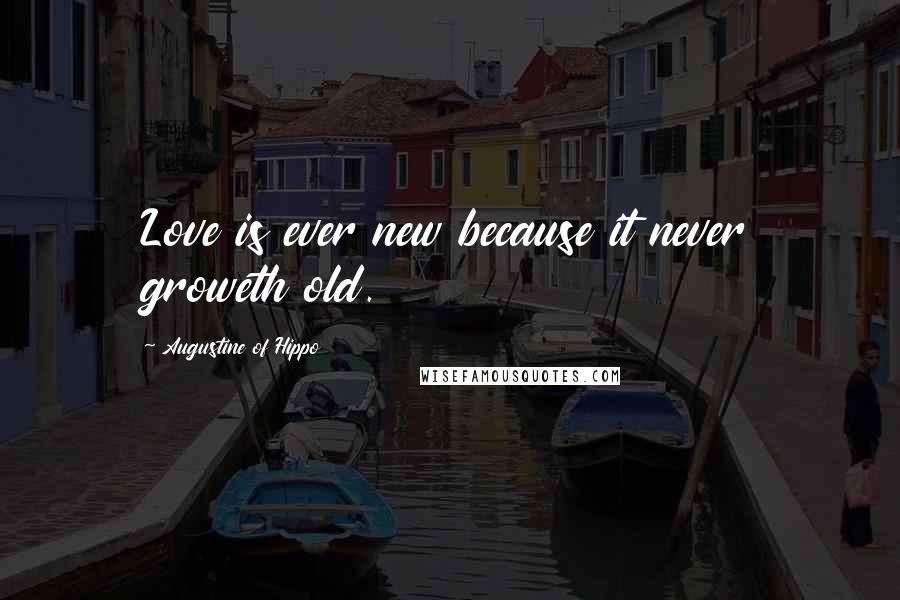 Augustine Of Hippo Quotes: Love is ever new because it never groweth old.