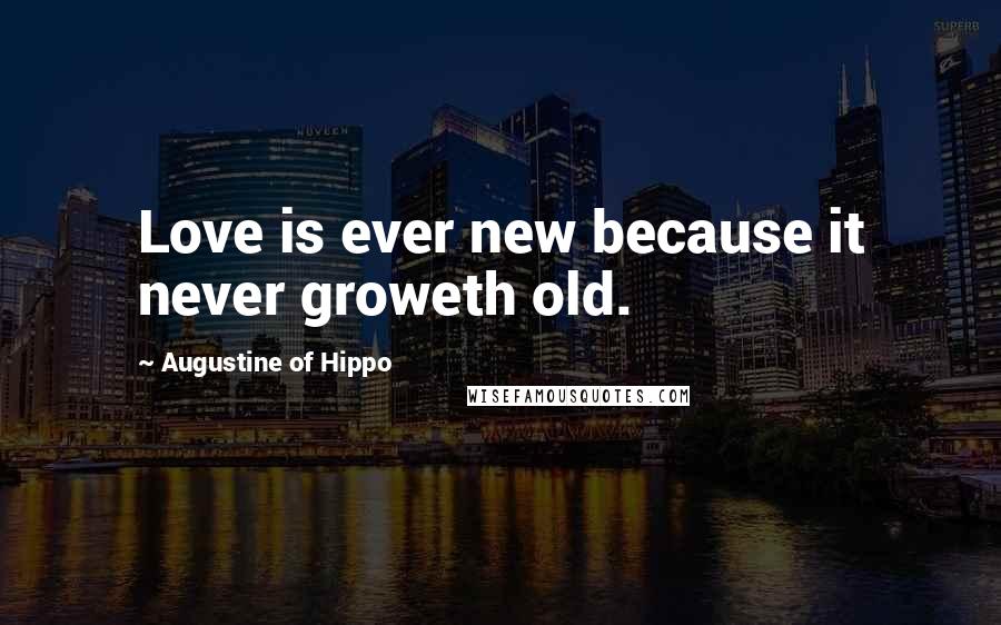 Augustine Of Hippo Quotes: Love is ever new because it never groweth old.